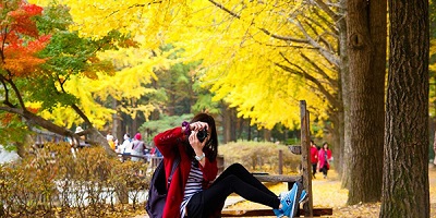 Du lịch Hàn Quốc - Khám phá mùa thu lá đỏ