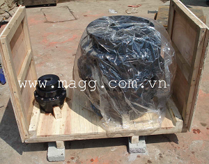 Khớp Nối Răng GIICL