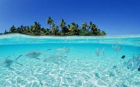 Du lịch quần đảo Maldives