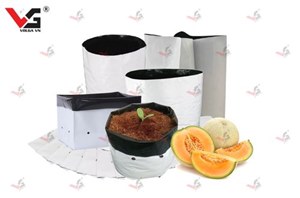 Túi Trồng Cây