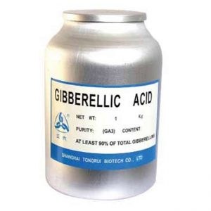 Acid Gibberellic - GA3