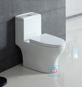 Bồn Cầu Chăm Sóc Basic Water Jet Tide-860