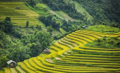 Tour Hà Nội - Lào Cai - Sapa 2 ngày 3 đêm Tour Hà Nội - Lào Cai - Sapa 2 ngày 3 đêm