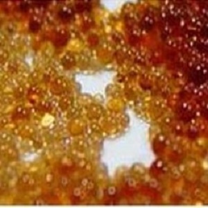 Công Ty TNHH Thương Mại Dịch Vụ Ngọc Gia Nguyễn