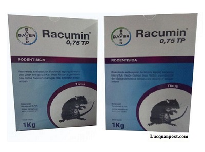 Thuốc Diệt Chuột Bayer - Racumin® TP 0,75