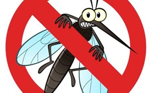 Dịch Vụ Phun Thuốc Diệt Muỗi Tại Nhà