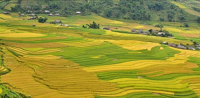 Công Ty Cổ Phần Tập Đoàn Nam Phong