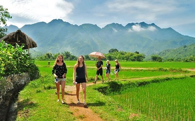 Công Ty Cổ Phần Tập Đoàn Nam Phong
