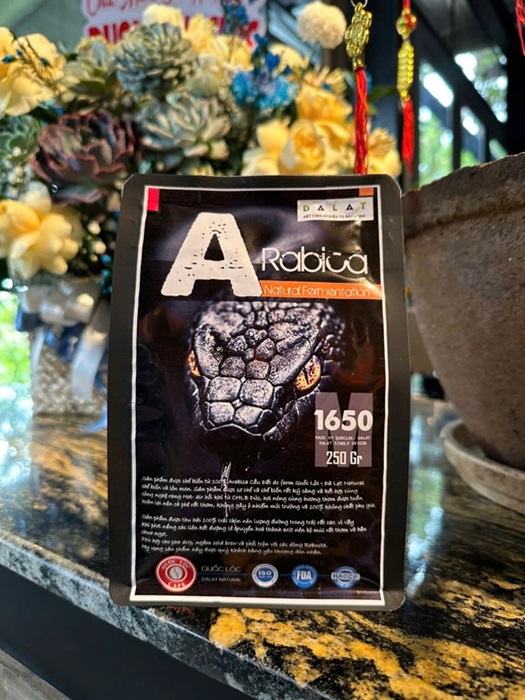 Arabica Núi Min Cầu Đất 2025