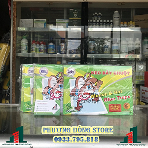 Keo Dính Chuột