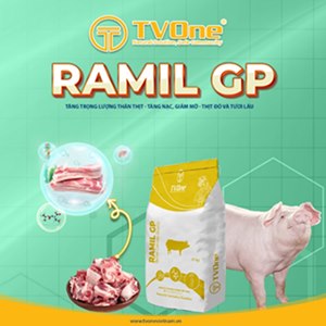 Ramil GP